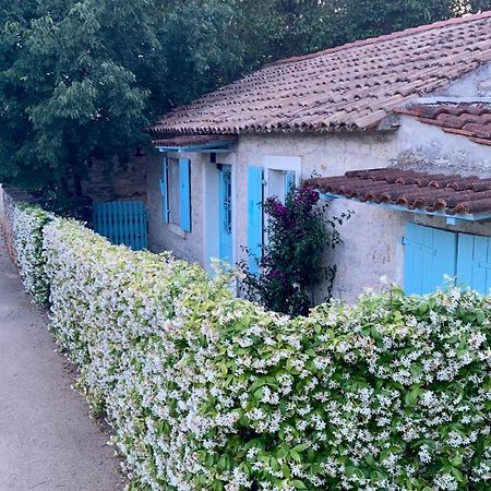 Vila Majda Tar-Vabriga Εξωτερικό φωτογραφία