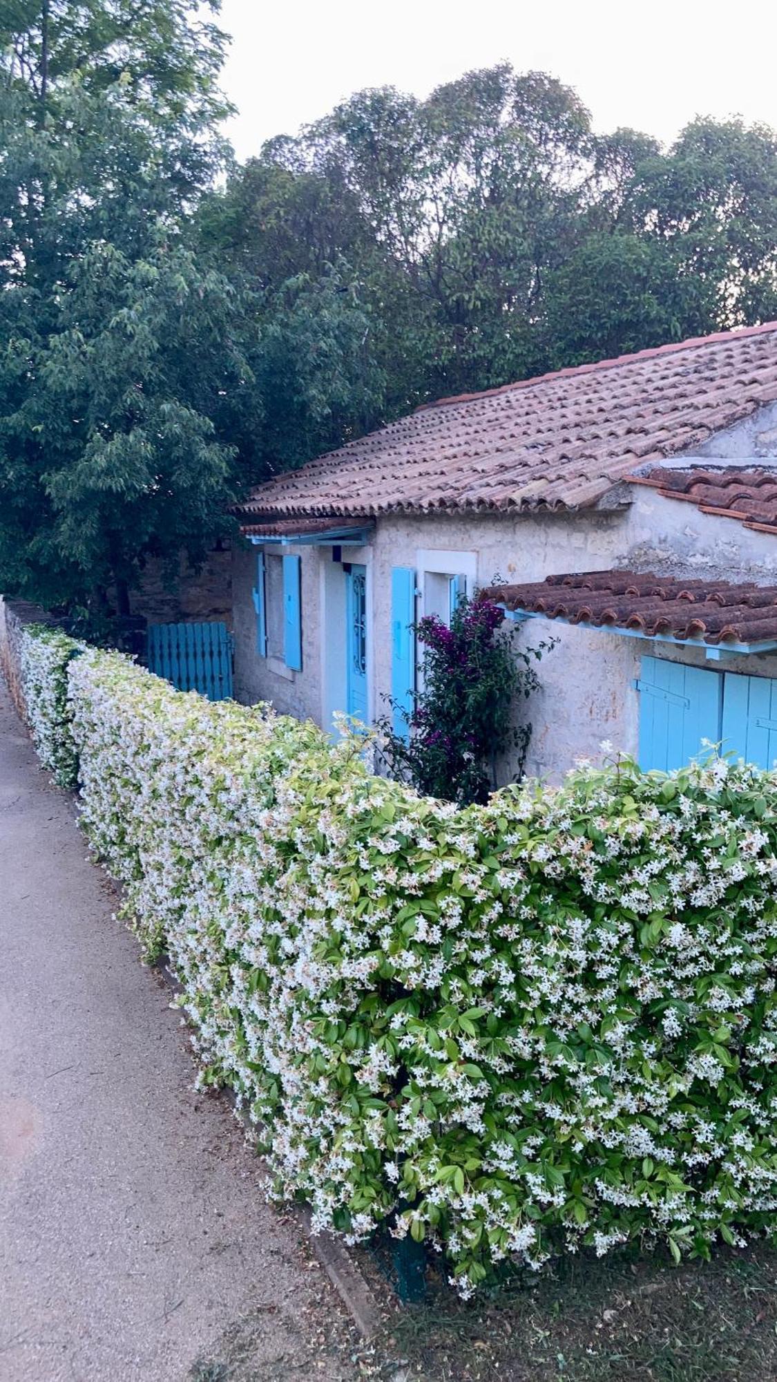 Vila Majda Tar-Vabriga Εξωτερικό φωτογραφία